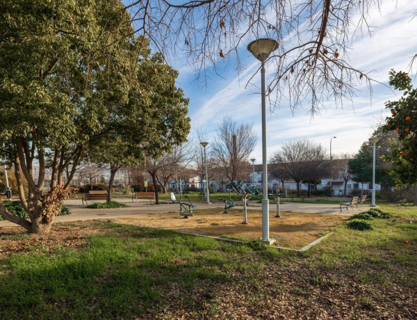 Terreno en venta en La Chana