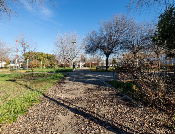 Terreno en venta en La Chana