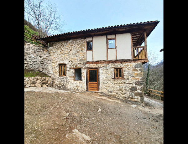 Casa o chalet independiente en venta en carretera As -252, 21