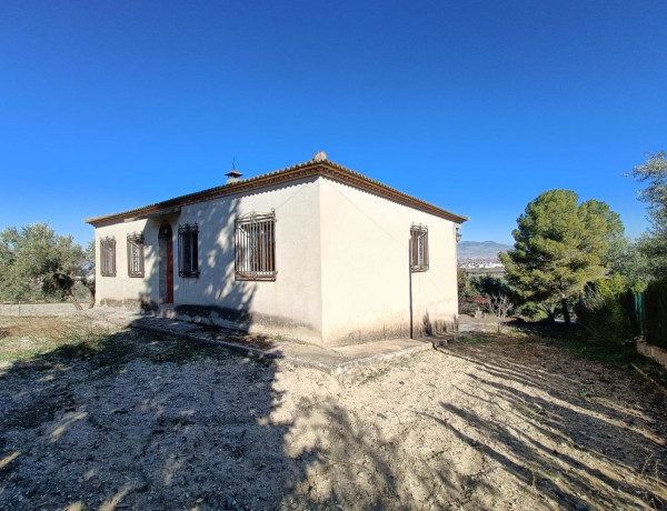 Casa o chalet independiente en venta en Aljomahima - Ermita