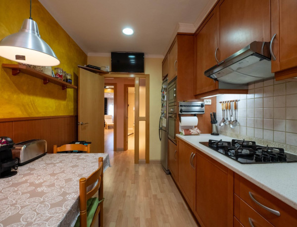 Casa o chalet independiente en venta en avenida Coronel Estrada