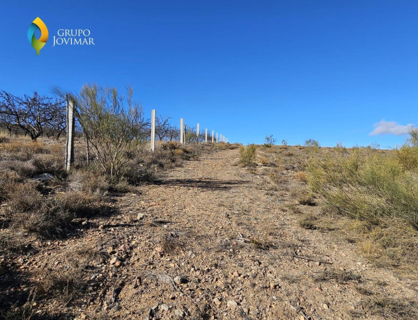 Alquiler de Terreno en Caniles