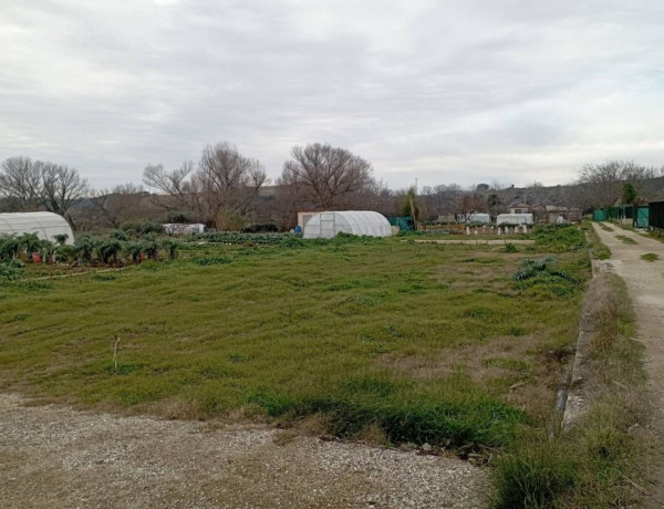 Terreno en venta en camino Monte