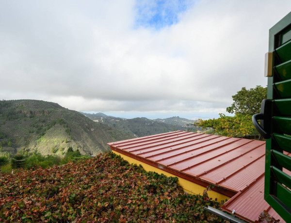 Finca rústica en venta en Vega de San Mateo