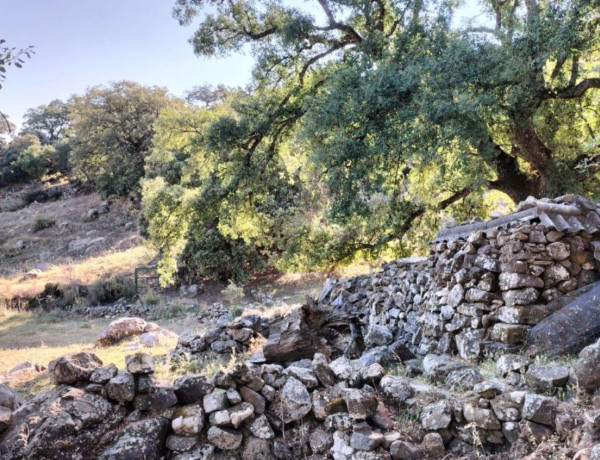 Terreno en venta en Grazalema