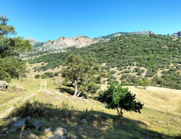 Terreno en venta en Grazalema