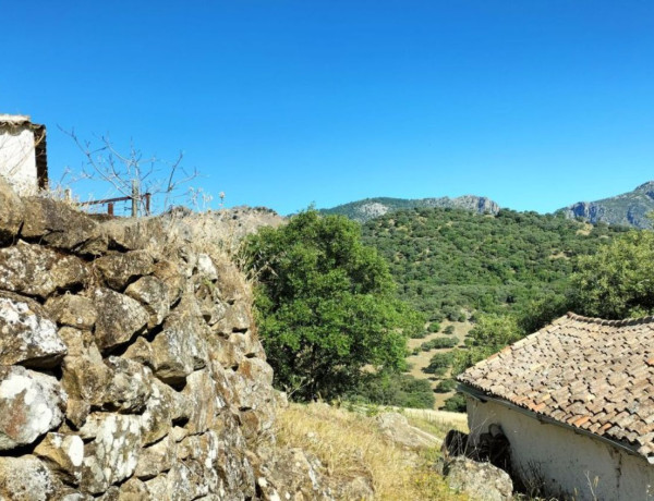 Terreno en venta en Grazalema