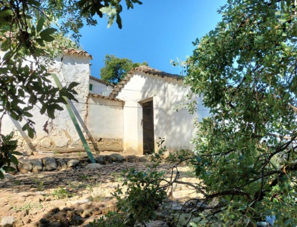 Terreno en venta en Grazalema