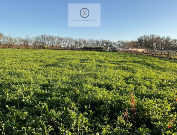 Finca rústica en venta en Candeleda