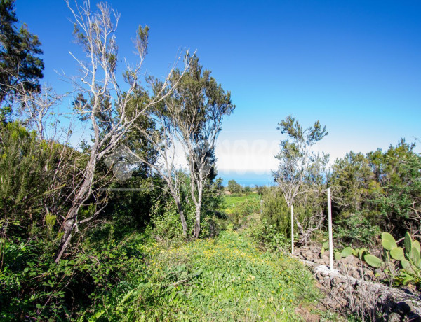 Terreno en venta en calle El Sol