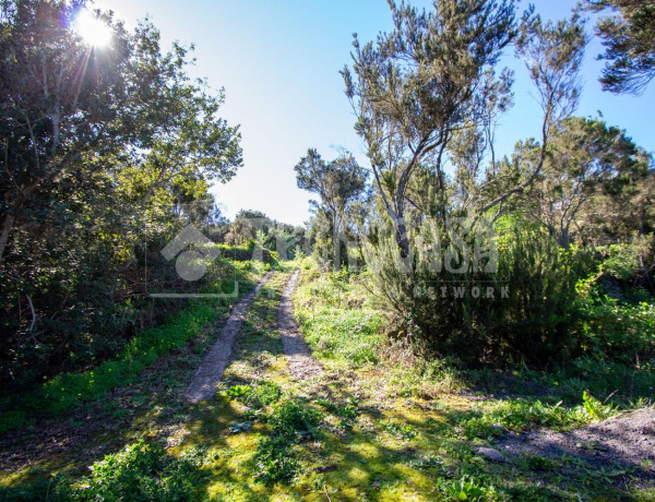 Terreno en venta en calle El Sol