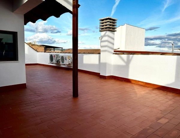 Casa o chalet independiente en venta en calle Séneca