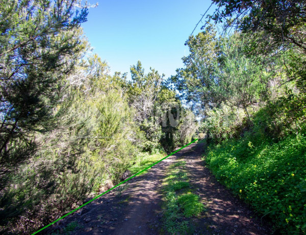 Terreno en venta en C. de Rosa Vieja