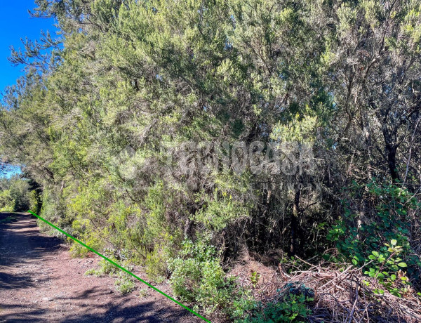 Terreno en venta en C. de Rosa Vieja