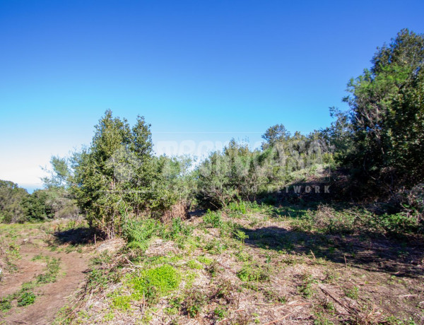 Terreno en venta en C. de Rosa Vieja