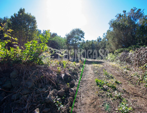 Terreno en venta en C. de Rosa Vieja