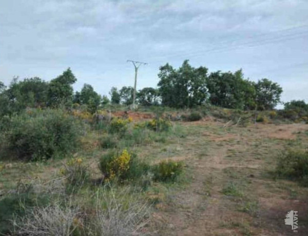 Terreno en venta en carretera Ciudad Rodrigo