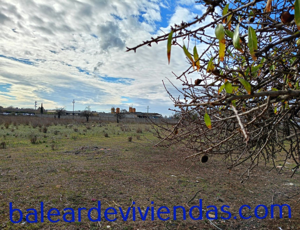 Terreno en venta en calle d'Inés Ribera