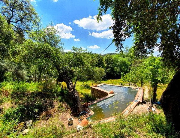 Finca rústica en venta en Higuera de la Sierra