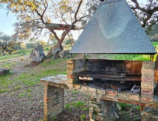 Finca rústica en venta en Higuera de la Sierra