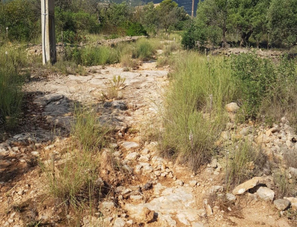 Terreno en venta en Montsià de Mar