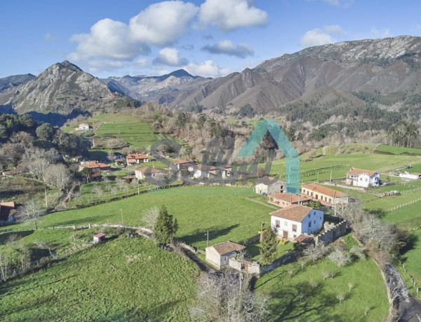 Casa o chalet independiente en venta en Lugar Ardisana