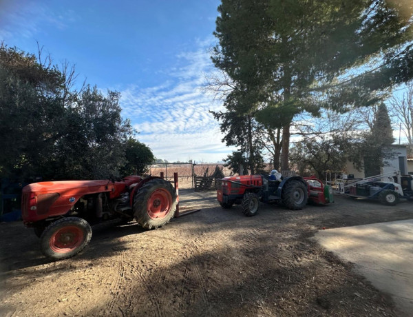 Finca rústica en venta en Cieza