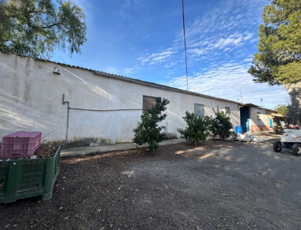 Finca rústica en venta en Cieza