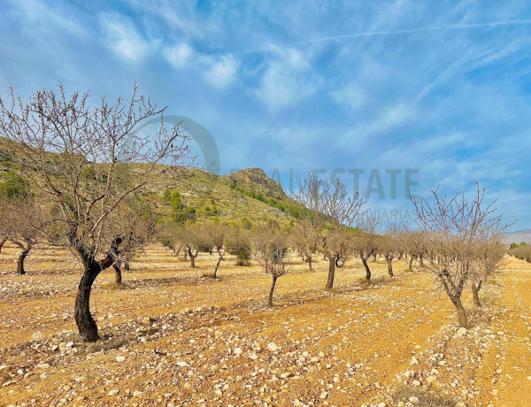 Terreno en venta en Las Virtudes