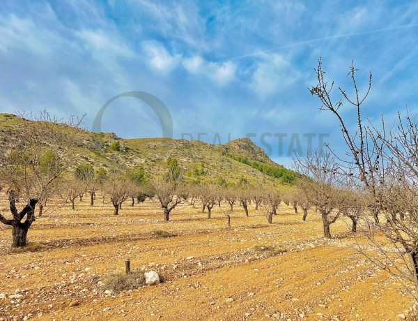 Terreno en venta en Las Virtudes