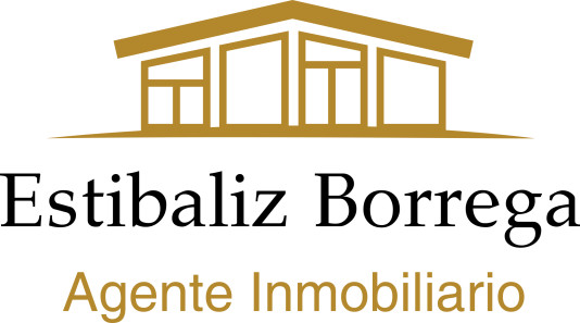 Estibaliz Borrega Agente Inmobiliario