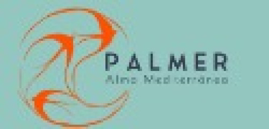 Palmer Inmobiliaria