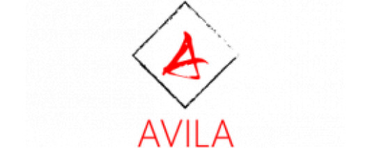 Inmobiliaria Avila