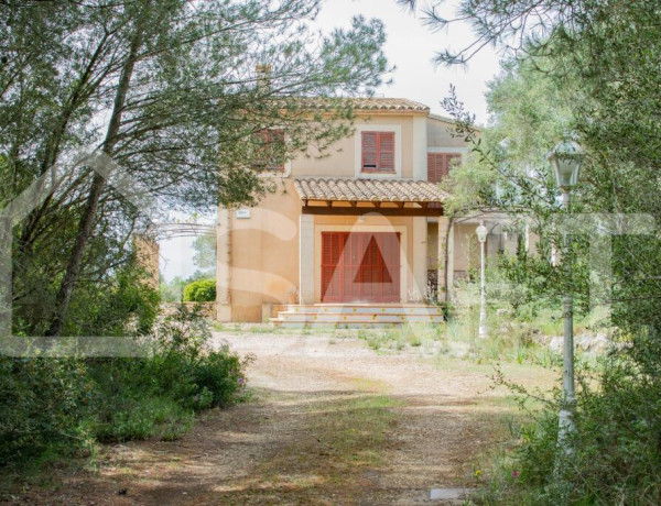 Preciosa casa en finca rústica cerca de Pina