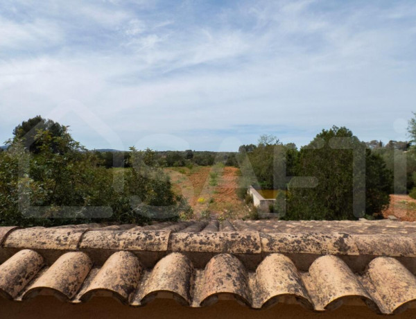 Preciosa casa en finca rústica cerca de Pina