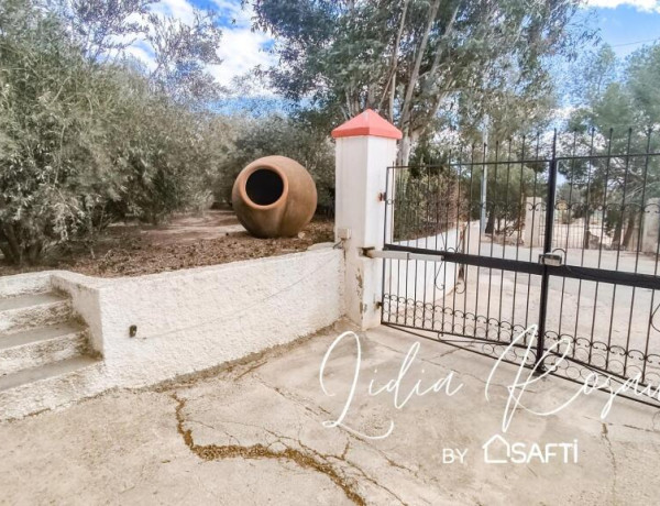 Country house For sell in Molina De Segura in Murcia 