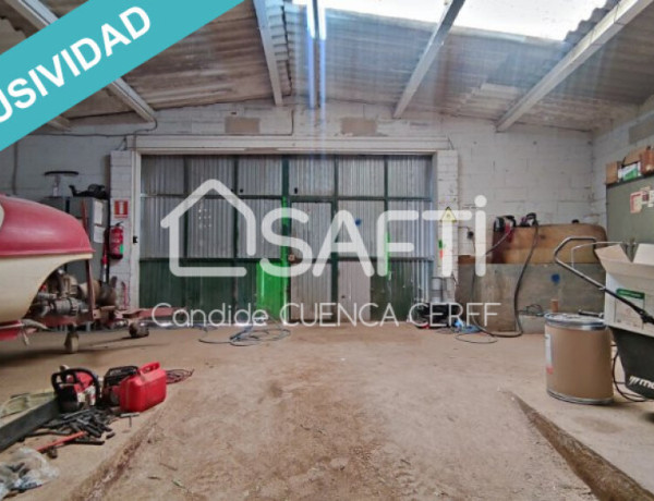 ¡Se vende finca agrícola de 47 ha! Ideal para Inversores.