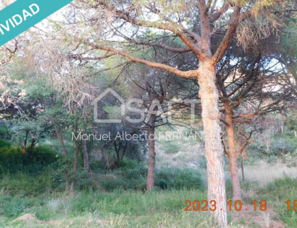 Has realidad la casa de tus sueños con las espectaculares vistas desde las elevaciones de Can Quirze, Mataró