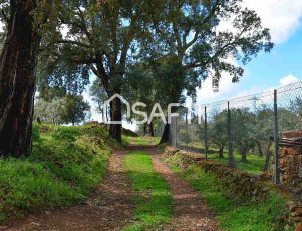 Rustic land For sell in Perales Del Puerto in Cáceres 