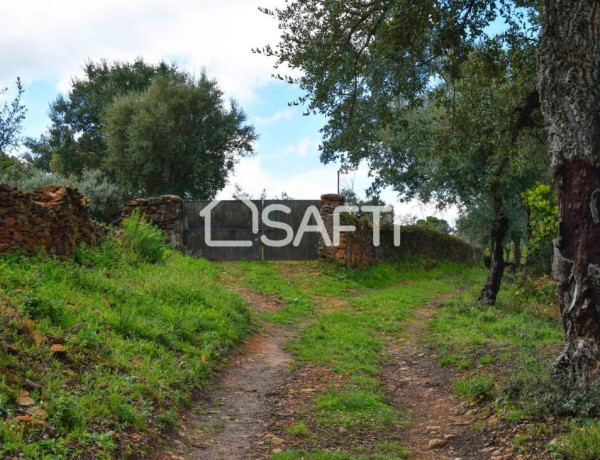 Rustic land For sell in Perales Del Puerto in Cáceres 