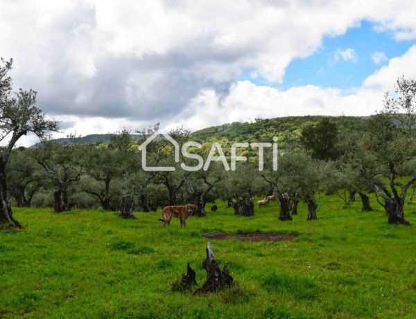 Fantástica finca rústica en pleno Sierra de Gata.