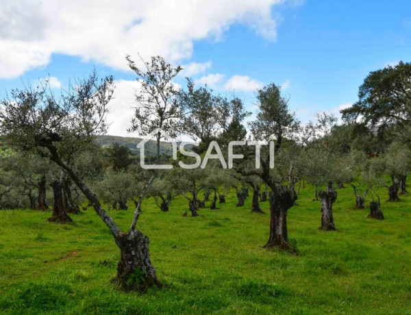 Fantástica finca rústica en pleno Sierra de Gata.