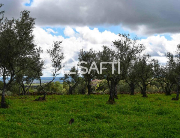 Fantástica finca rústica en pleno Sierra de Gata.