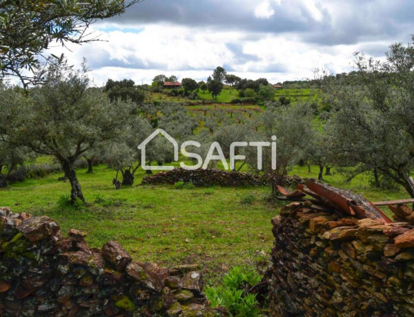 Rustic land For sell in Perales Del Puerto in Cáceres 