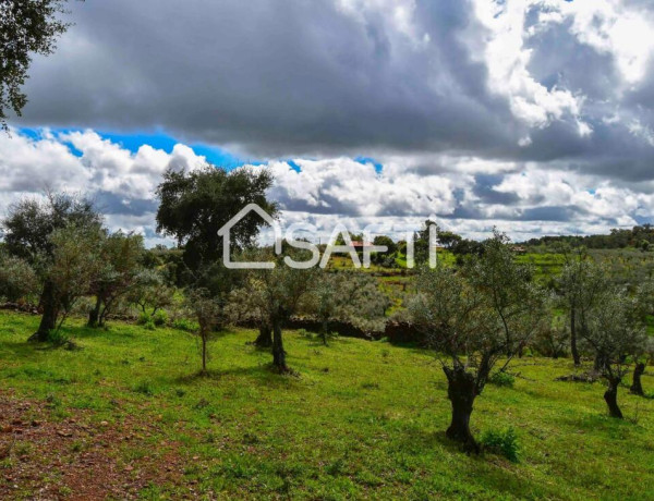 Rustic land For sell in Perales Del Puerto in Cáceres 