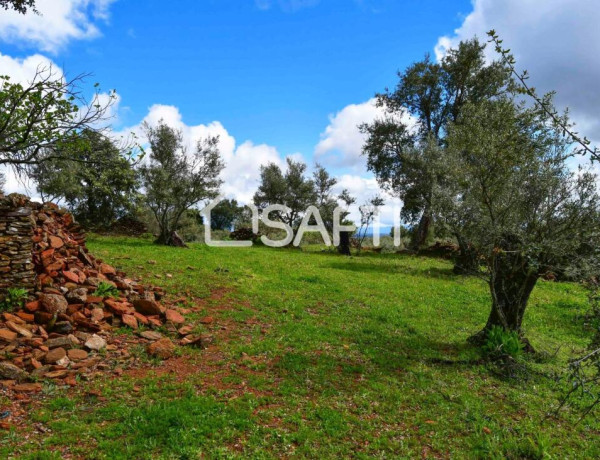 Fantástica finca rústica en pleno Sierra de Gata.