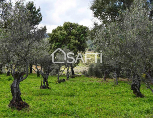 Rustic land For sell in Perales Del Puerto in Cáceres 