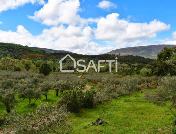 Rustic land For sell in Perales Del Puerto in Cáceres 