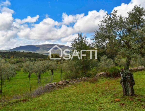 Rustic land For sell in Perales Del Puerto in Cáceres 