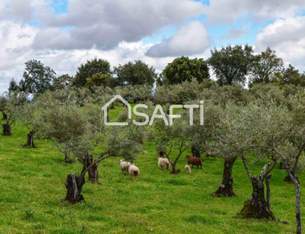 Fantástica finca rústica en pleno Sierra de Gata.